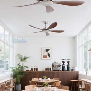 5 Blade Fan