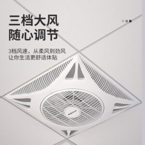 Fixed Ceiling Fan