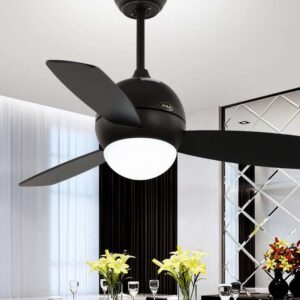3 Blade Light Fan
